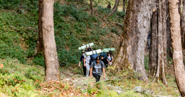 Screen Shot 2017-11-09 at 4.47.03 PM