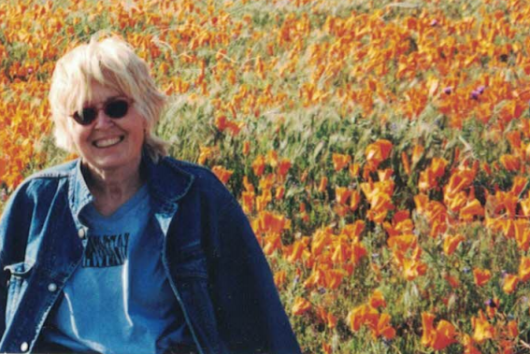 Screenshot 2018-11-21 at 5.37.47 PM