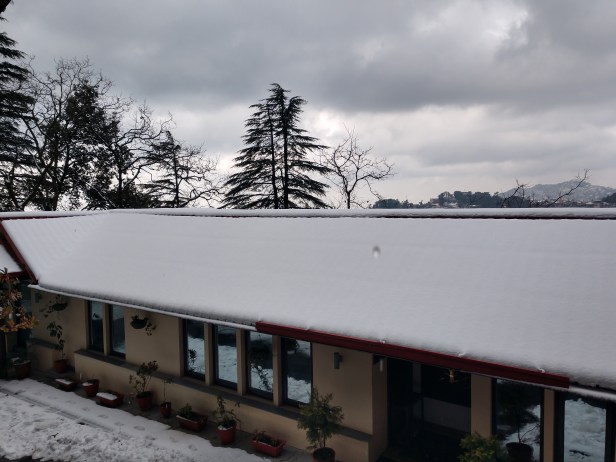 IMG_20190208_122540382_HDR.jpg