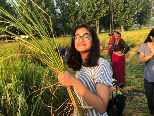 Screen Shot 2019-11-11 at 5.04.06 PM