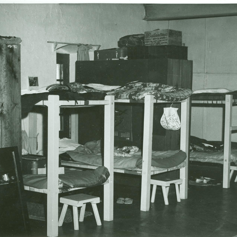 The Ghosts of&nbsp;Woodstock