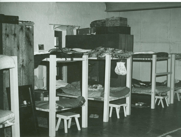 The Ghosts of&nbsp;Woodstock